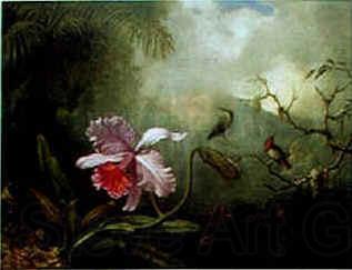 Martin Johnson Heade Cattleya Orchid Three Brazilian Hummingbirds